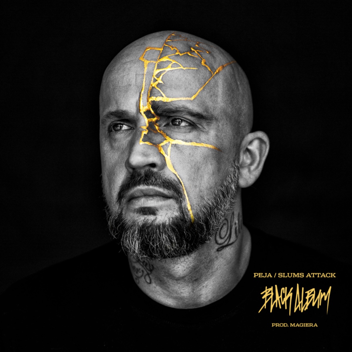 Black Album by Peja, Slums Attack & Magiera album cover
