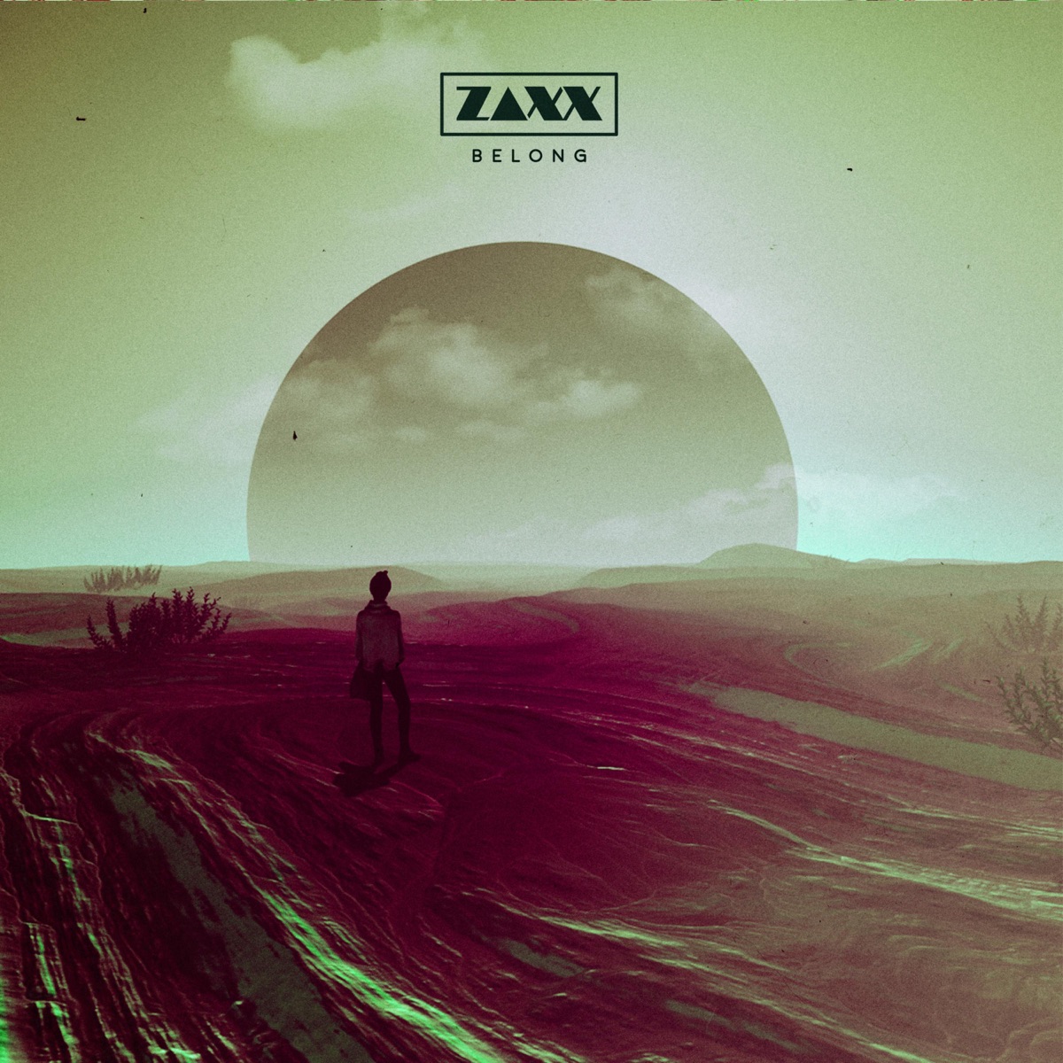 Belong - Single by Zaxx album cover