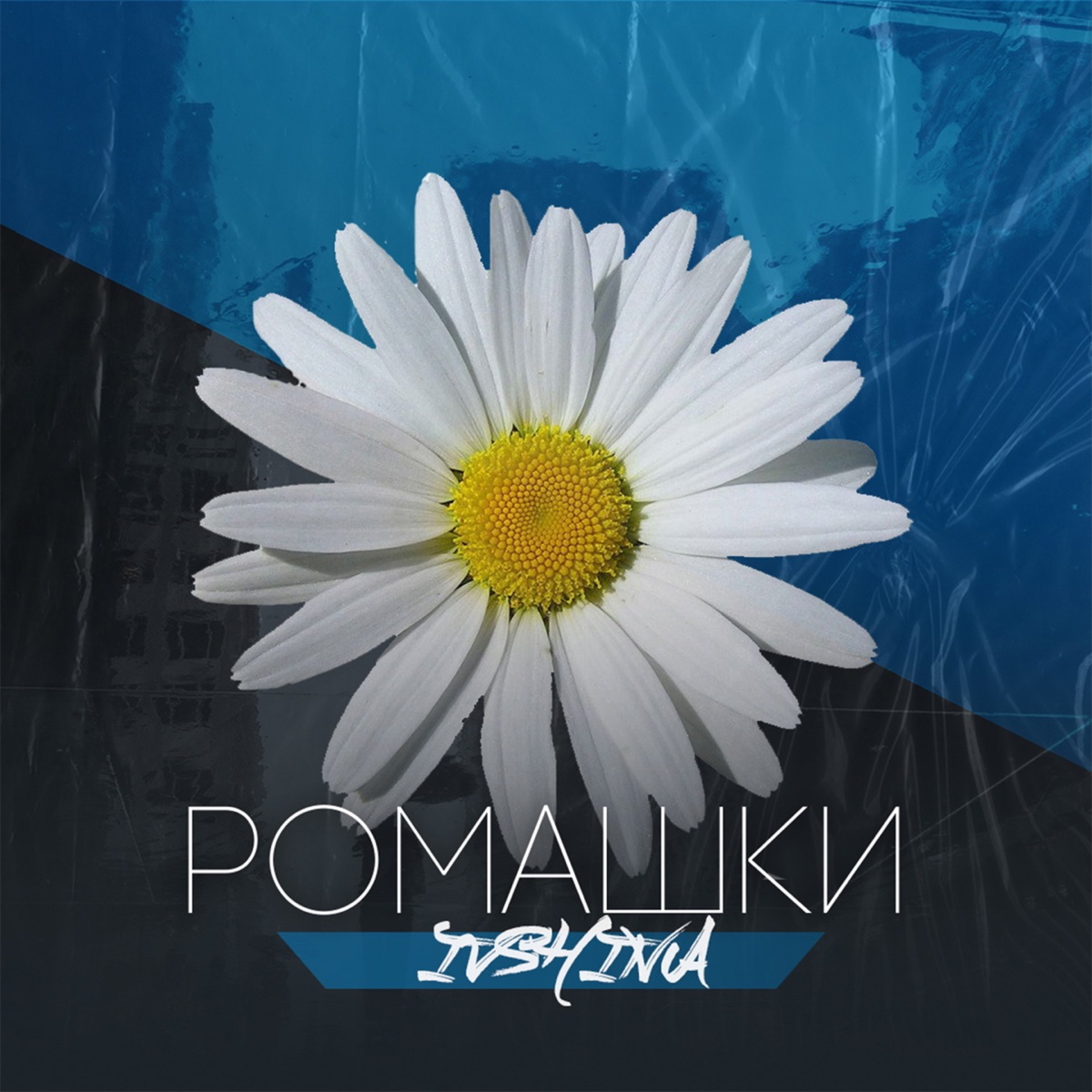 Ромашки - Single by IVSHINA album cover