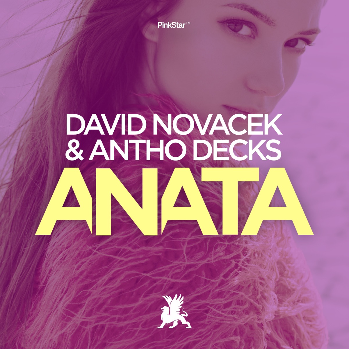 Anata - Single by David Novacek & Antho Decks album cover