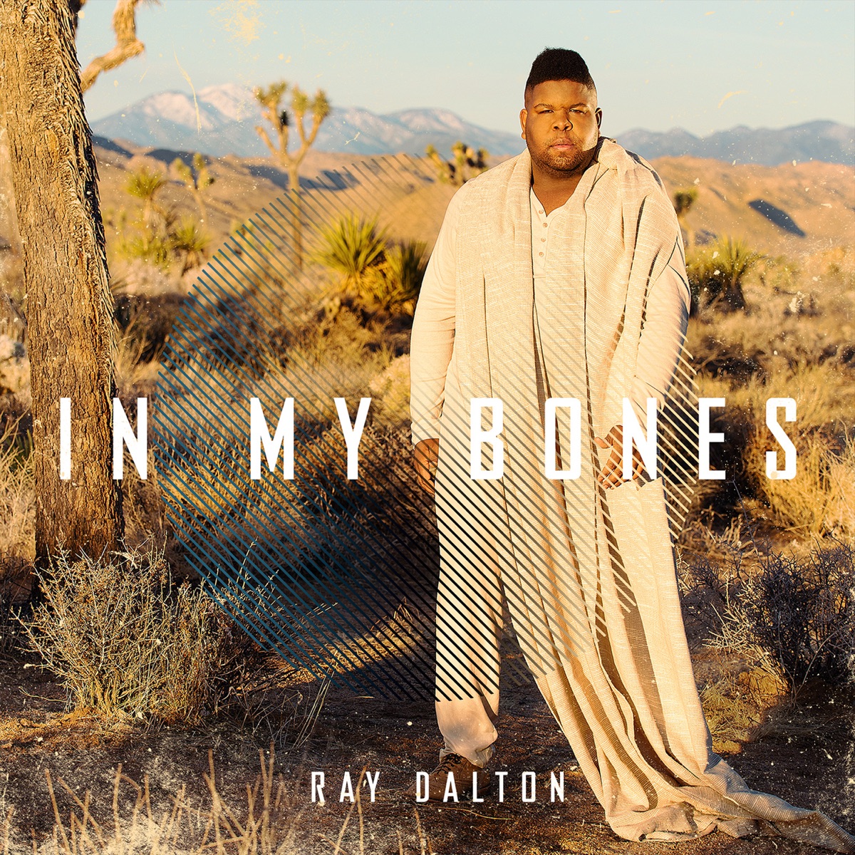 In My Bones (Malik Montana Remix) - Single by Ray Dalton & Malik Montana album cover