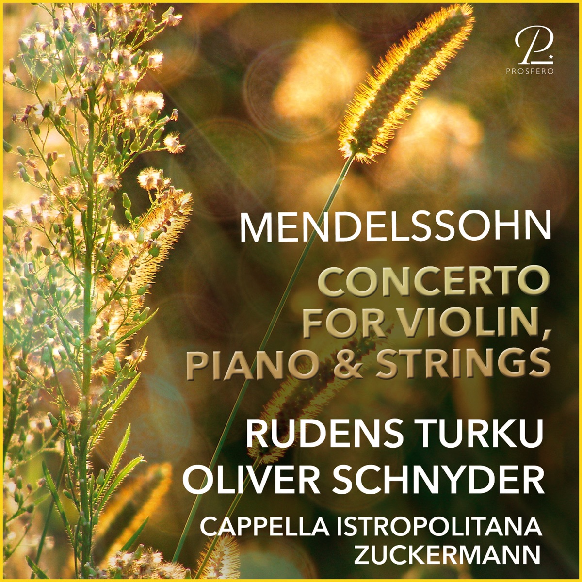 Mendelssohn: Concerto For Violin, Piano & Strings In D Minor by Rudens Turku, Oliver Schnyder, Capella Istropolitana & Ariel Zuckermann album cover