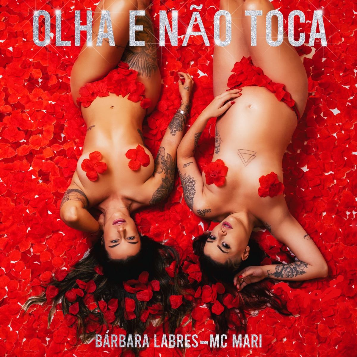 Olha e Não Toca - Single by Barbara Labres & MC Mari album cover