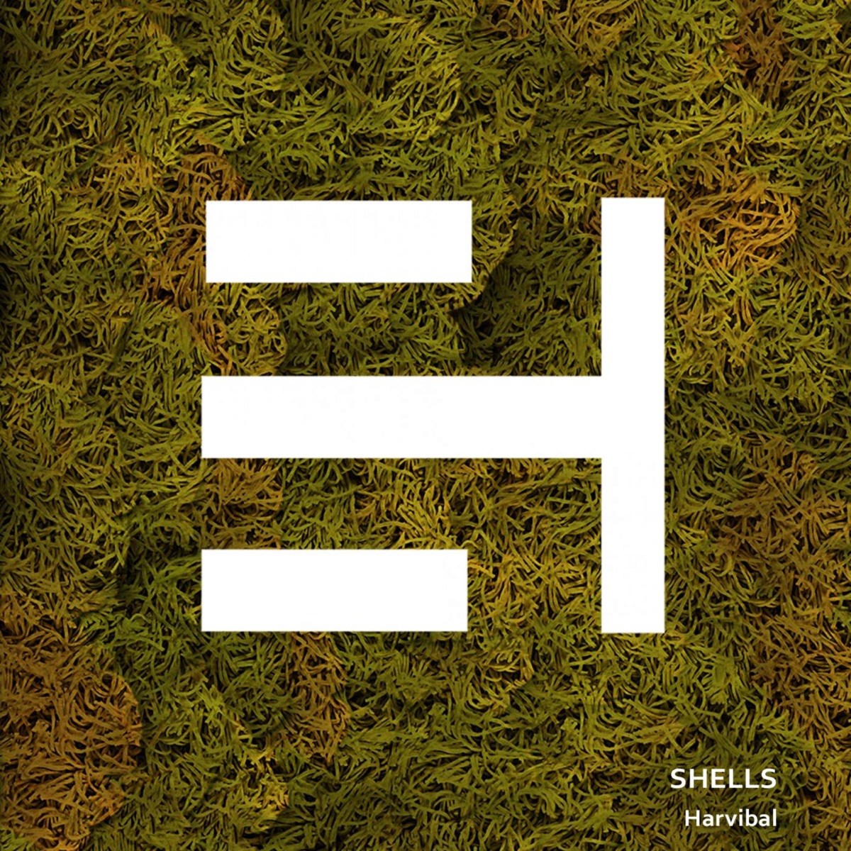 Shells - Single by Julian Velez, Maurizio Ruggiero & Riven Benavi album cover