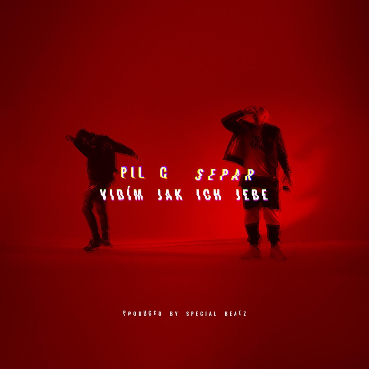 Vidim Jak Ich Jebe (feat. Separ) - Single by Pil C album cover