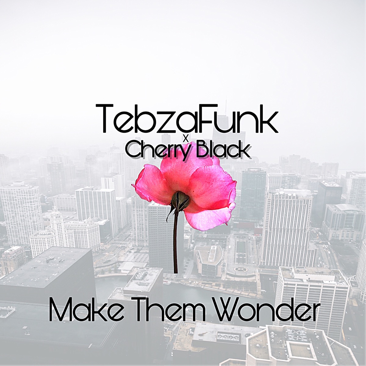 Make Them Wonder - Single by TebzaFunk & Cherry Black album cover