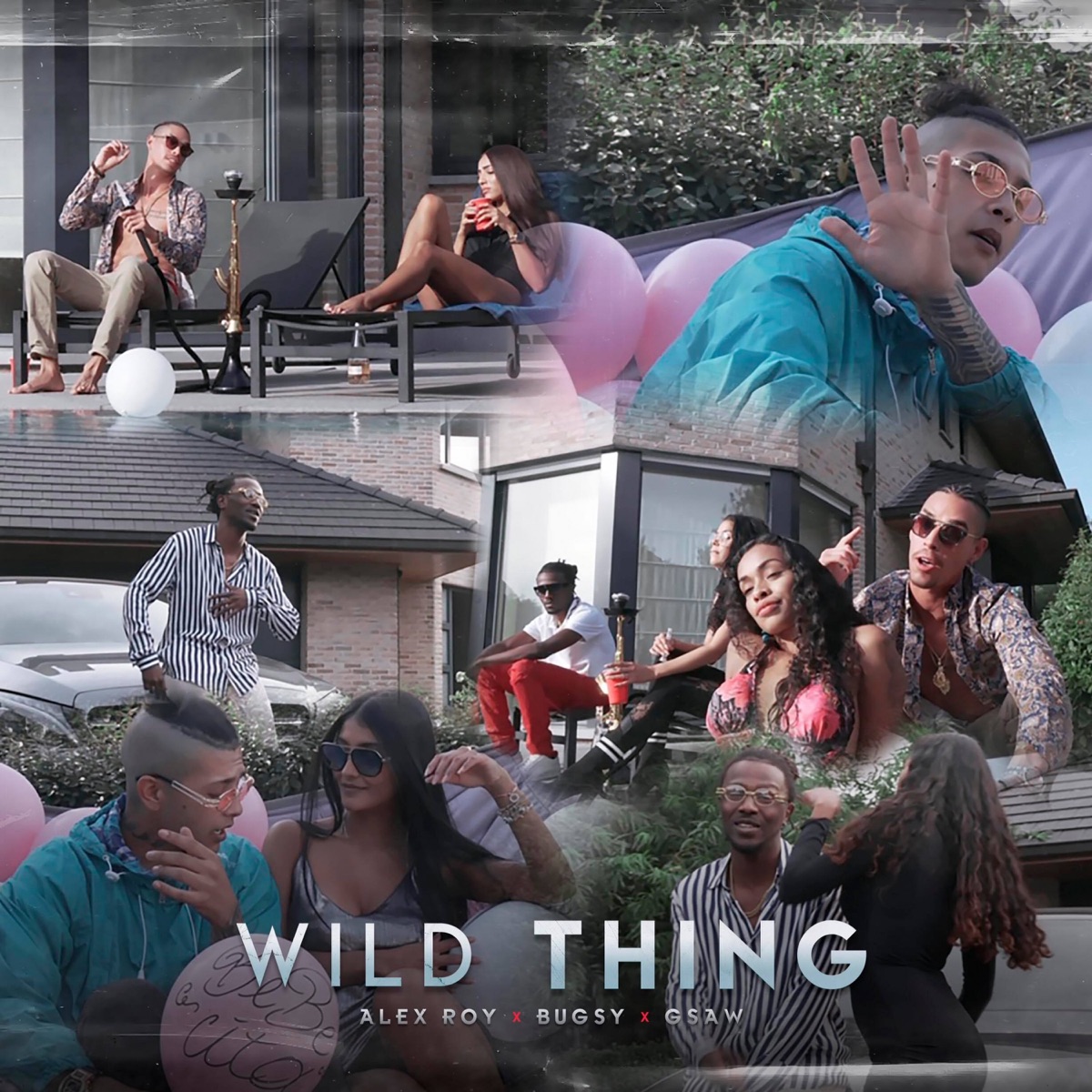 Wild Thing (feat. G$aw & Alex Roy) - Single by Bugsy album cover