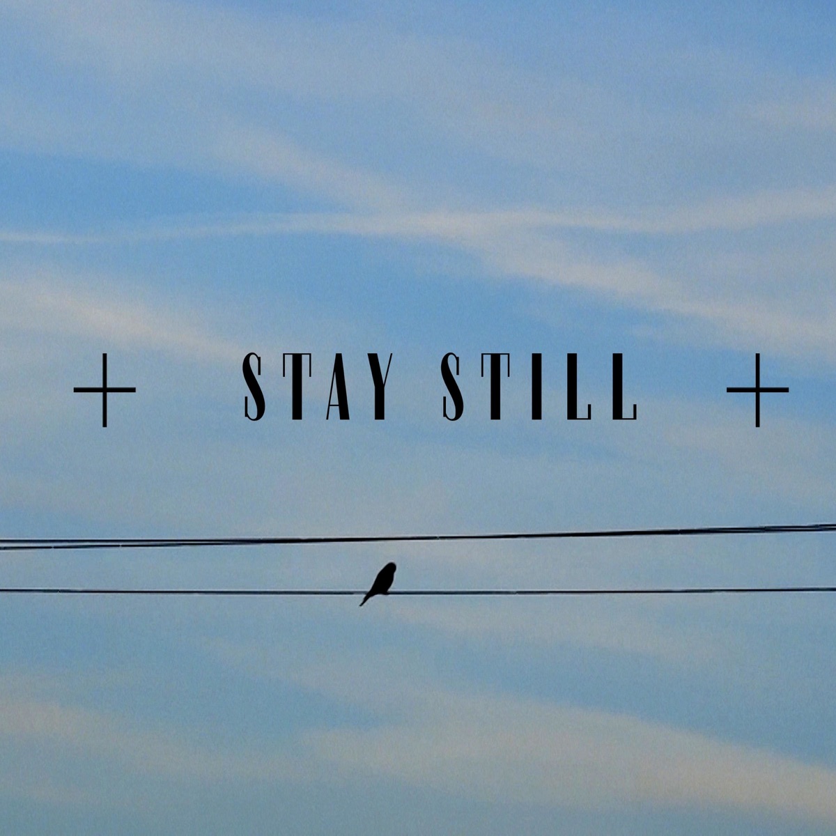 Stay still - Single by RNORTE+ album cover
