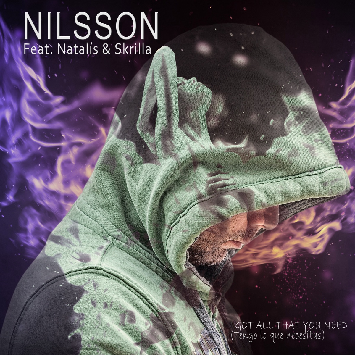 I Got All That You Need (feat. Skrilla & Natalis) - Single by Robert Nilsson album cover