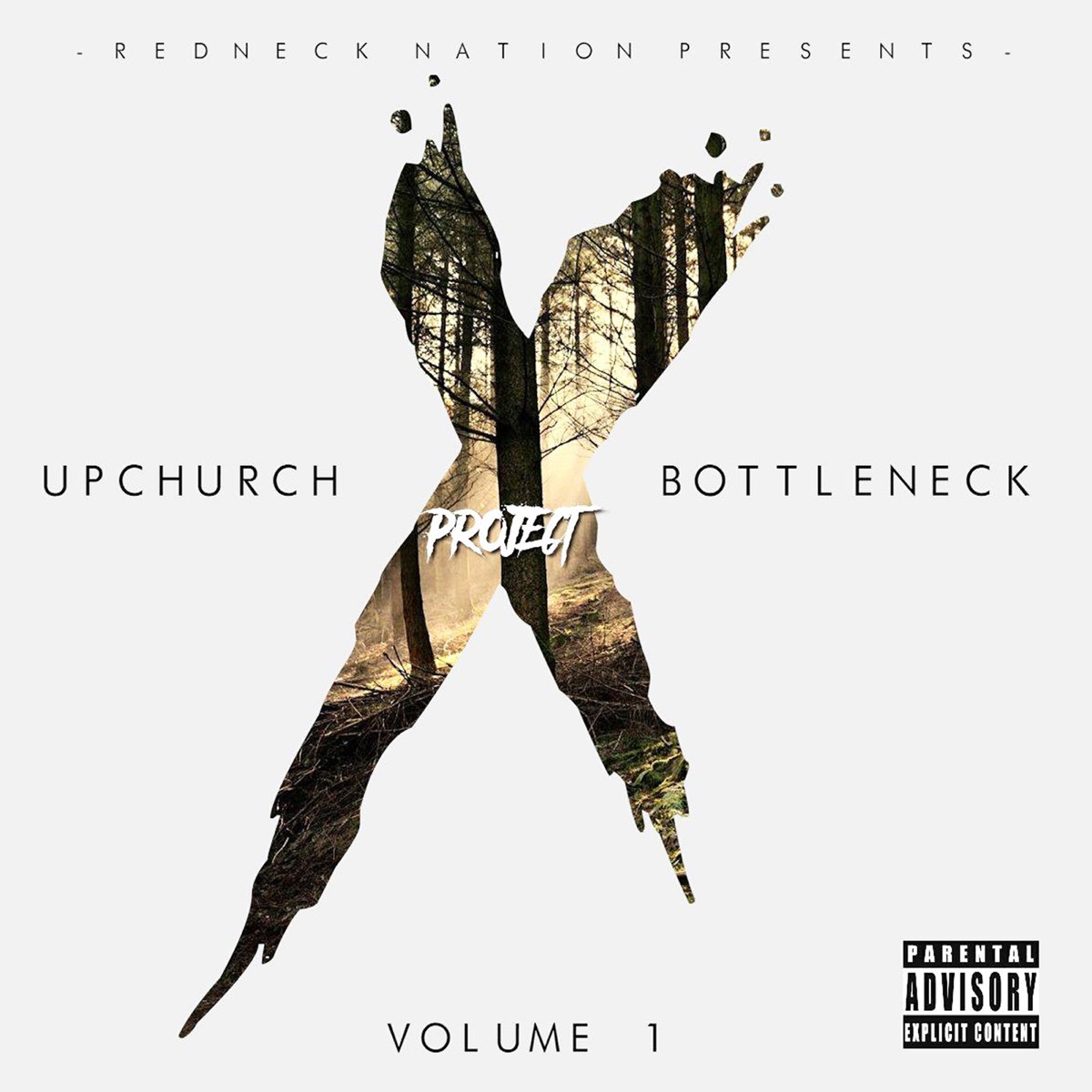 Project X, Vol. 1 by Upchurch & Bottleneck album cover