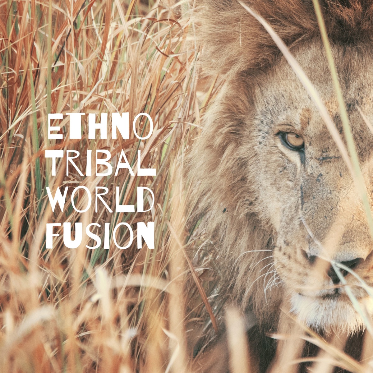 Ethno Tribal World Fusion by Jonathan Mantras & Ben Silence album cover