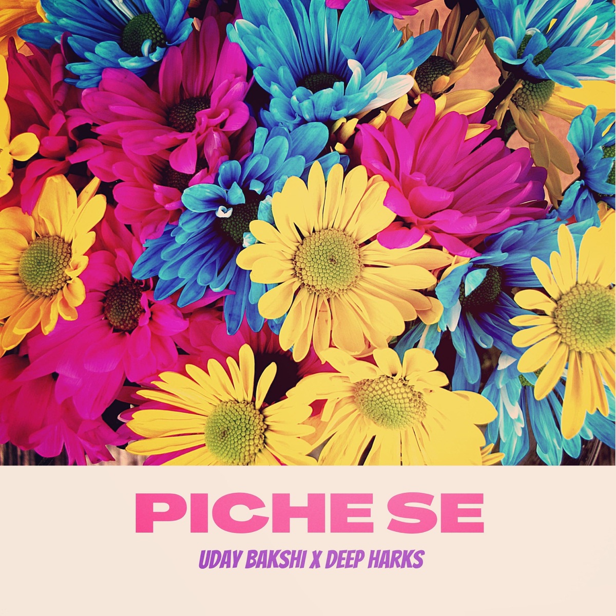 Piche Se (feat. Deep Harks) - Single by Uday Bakshi album cover