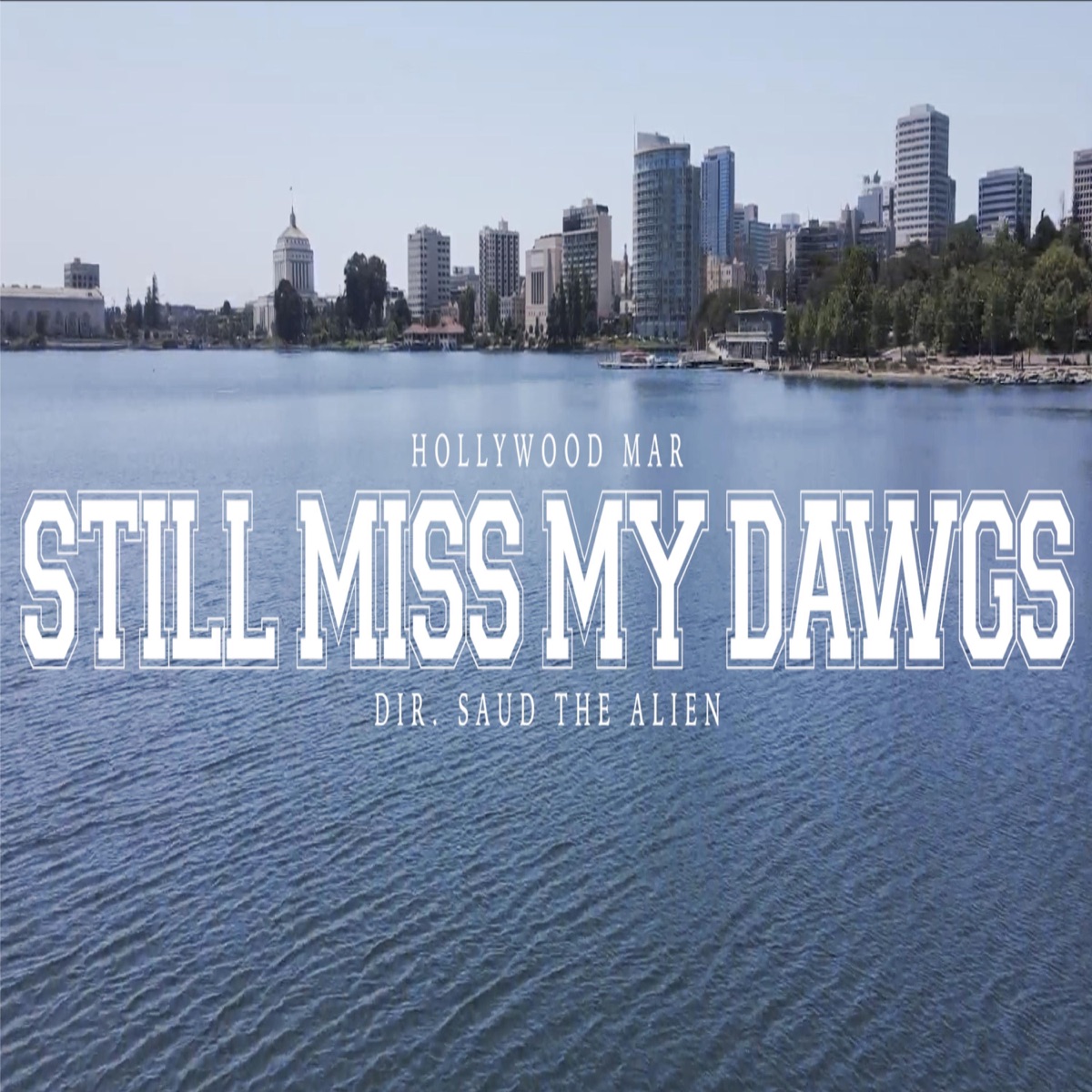 Miss My Dawg - Single by Hollywood Mar album cover