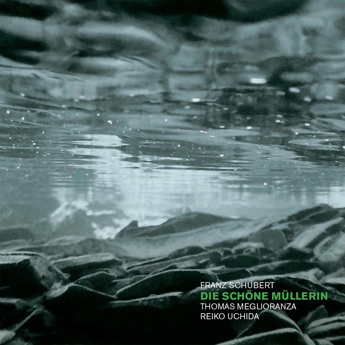 Die schöne Müllerin, D. 795 by Thomas Meglioranza & Reiko Uchida album cover