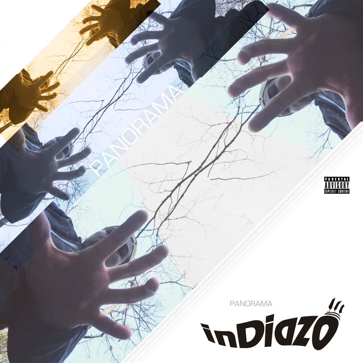 Panorama - Single by inDiazo album cover