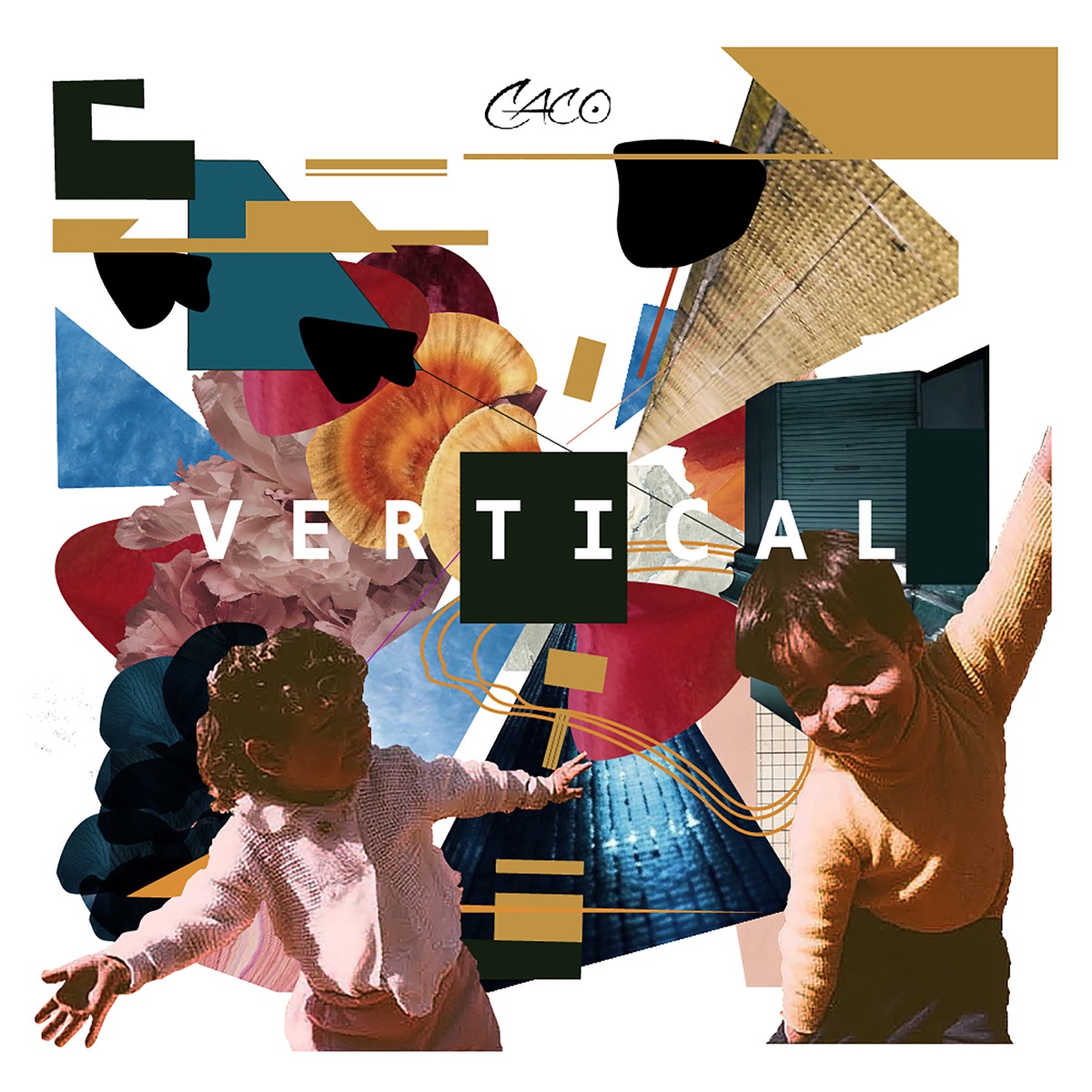 Vertical by Caco album cover