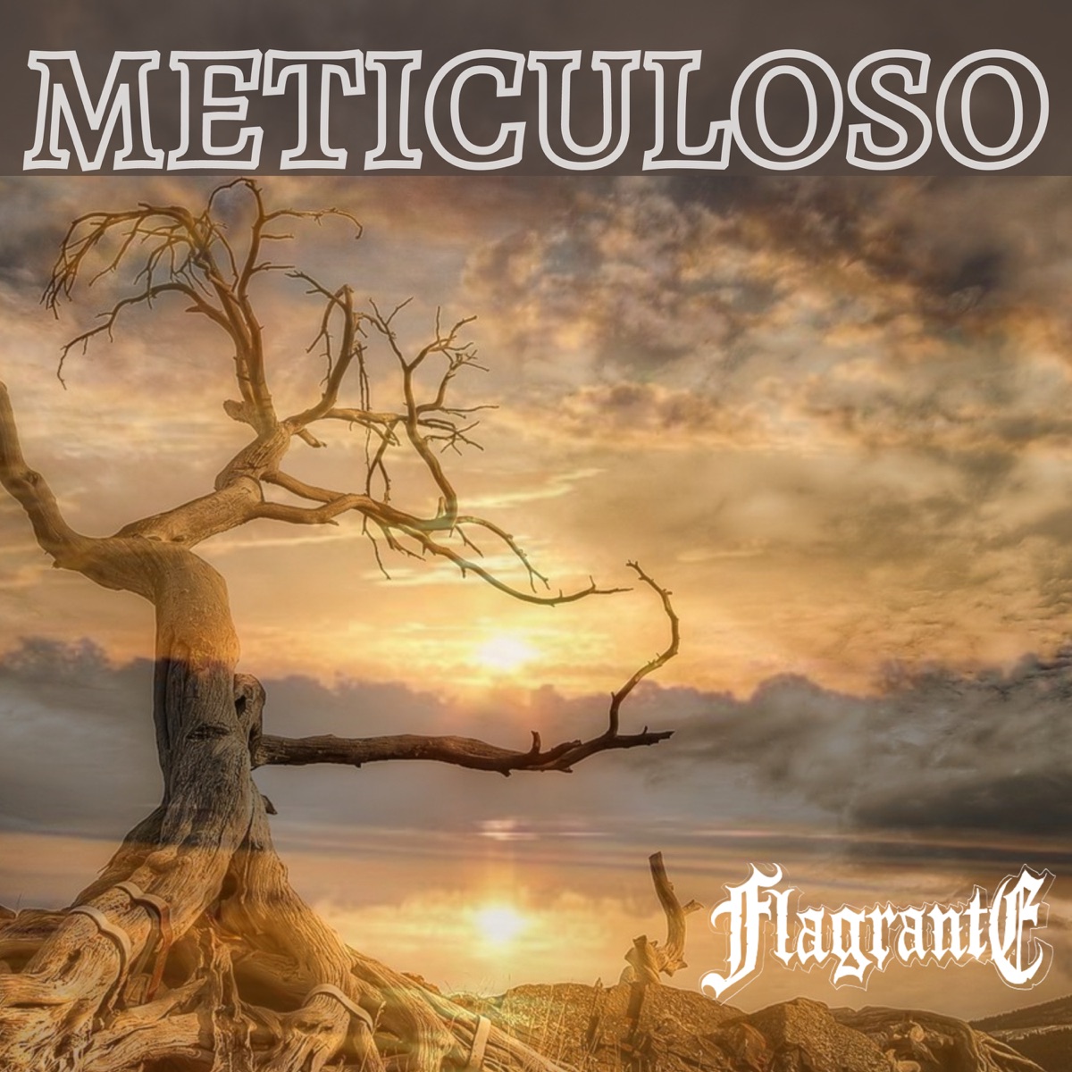 Meticuloso (feat. Thais Aguiar) - Single by Fael Flagrante album cover