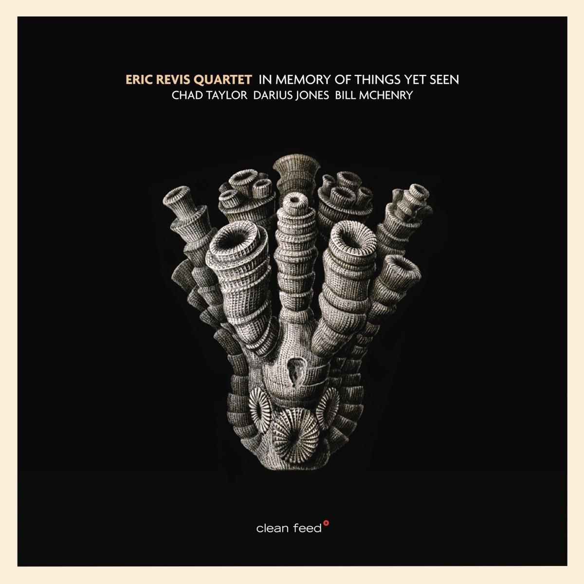 In Memory of Things yet Seen (feat. Chad Taylor, Darius Jones & Bill McHenry) by Eric Revis Quartet album cover