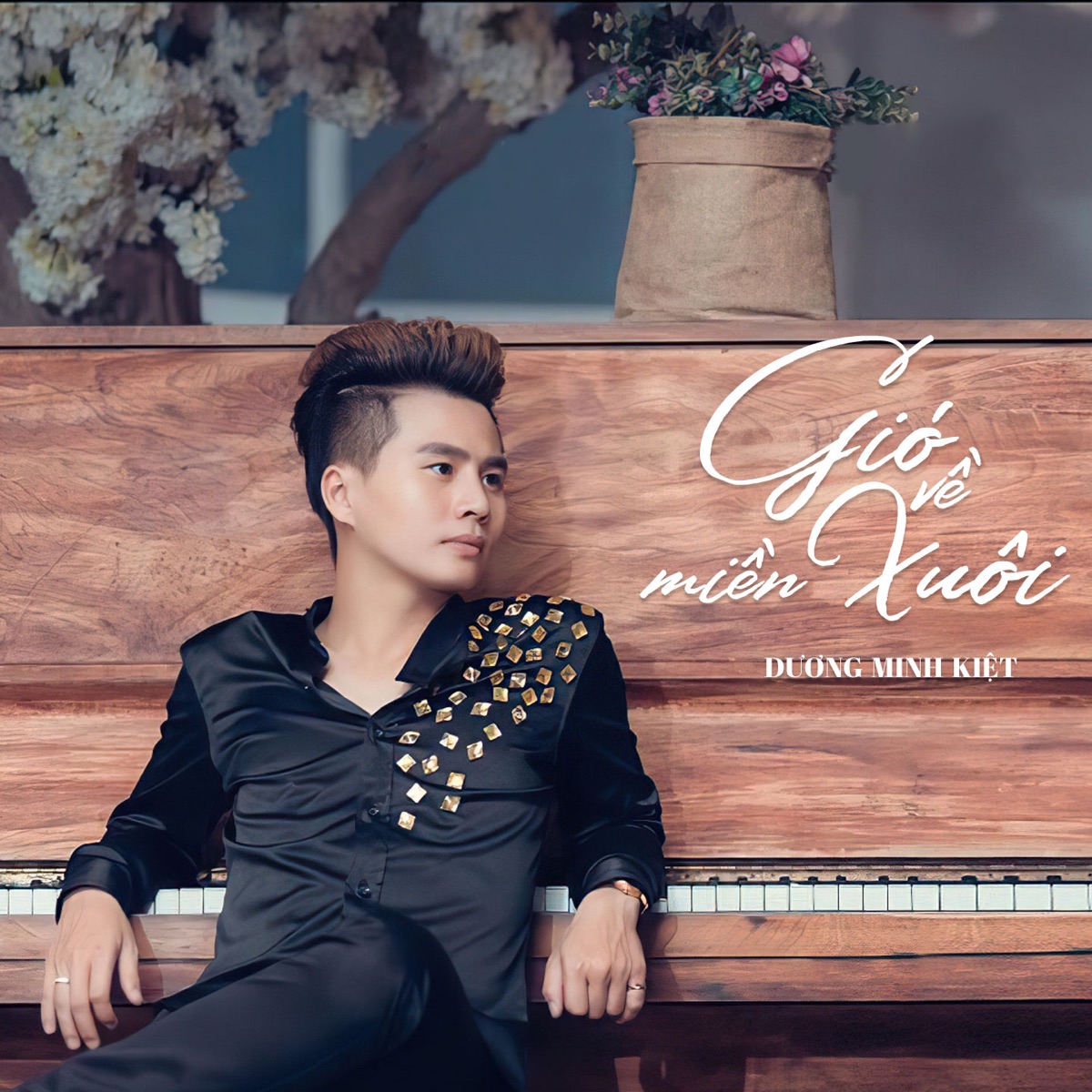 Gió Về Miền Xuôi by Lý Thu Thảo album cover
