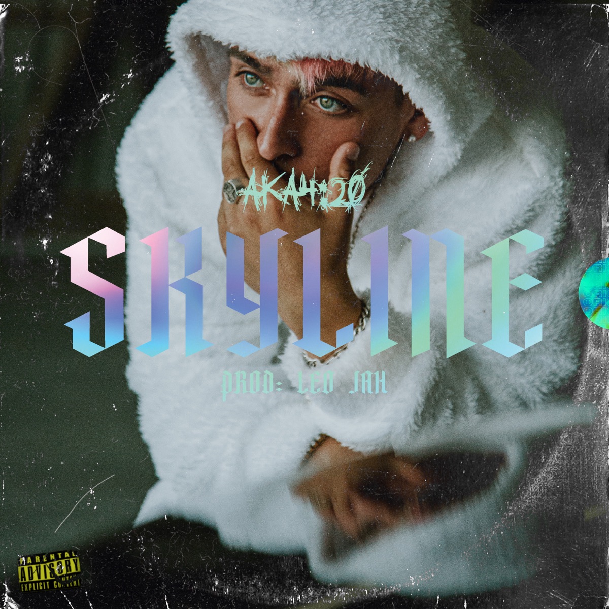 Skyline - Single by Ak4:20 album cover