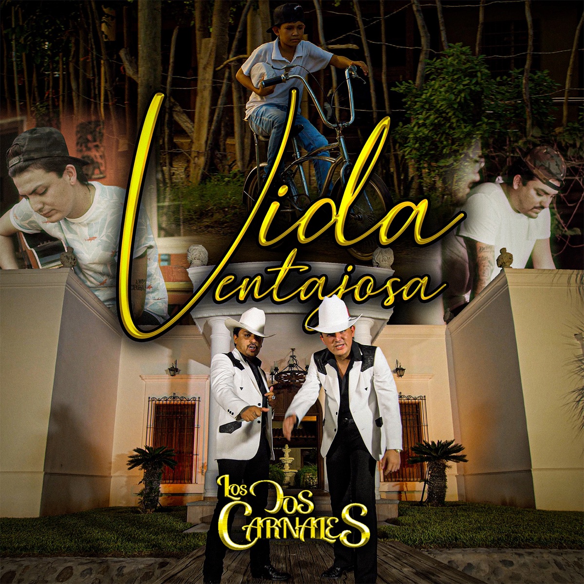 Vida Ventajosa - Single by Los Dos Carnales album cover