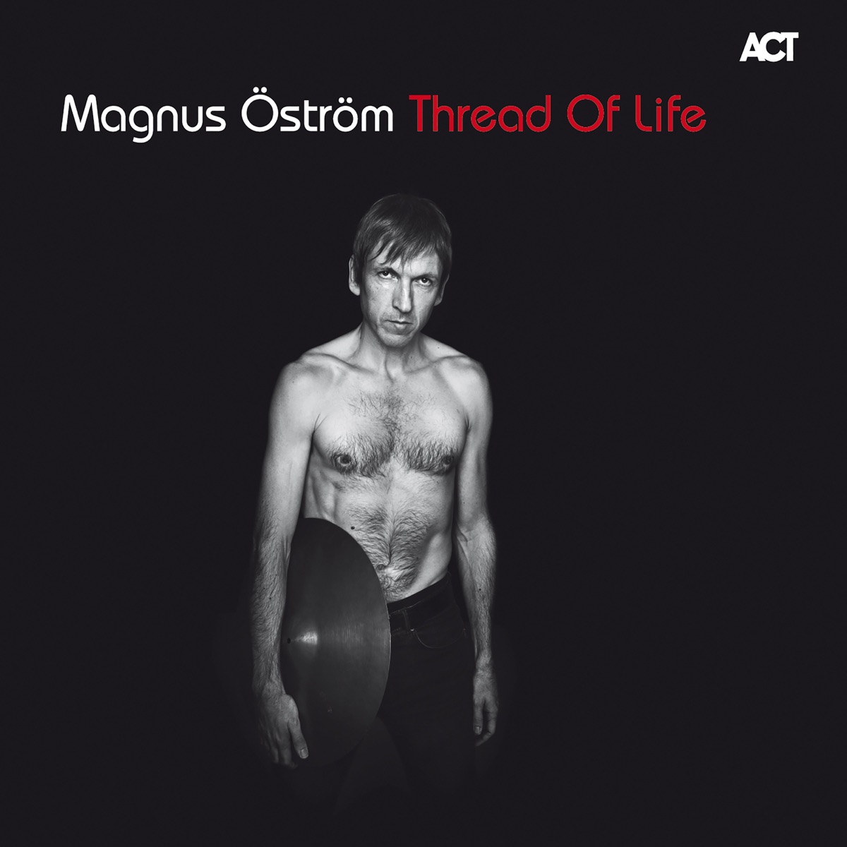 Thread of Life by Magnus Öström album cover