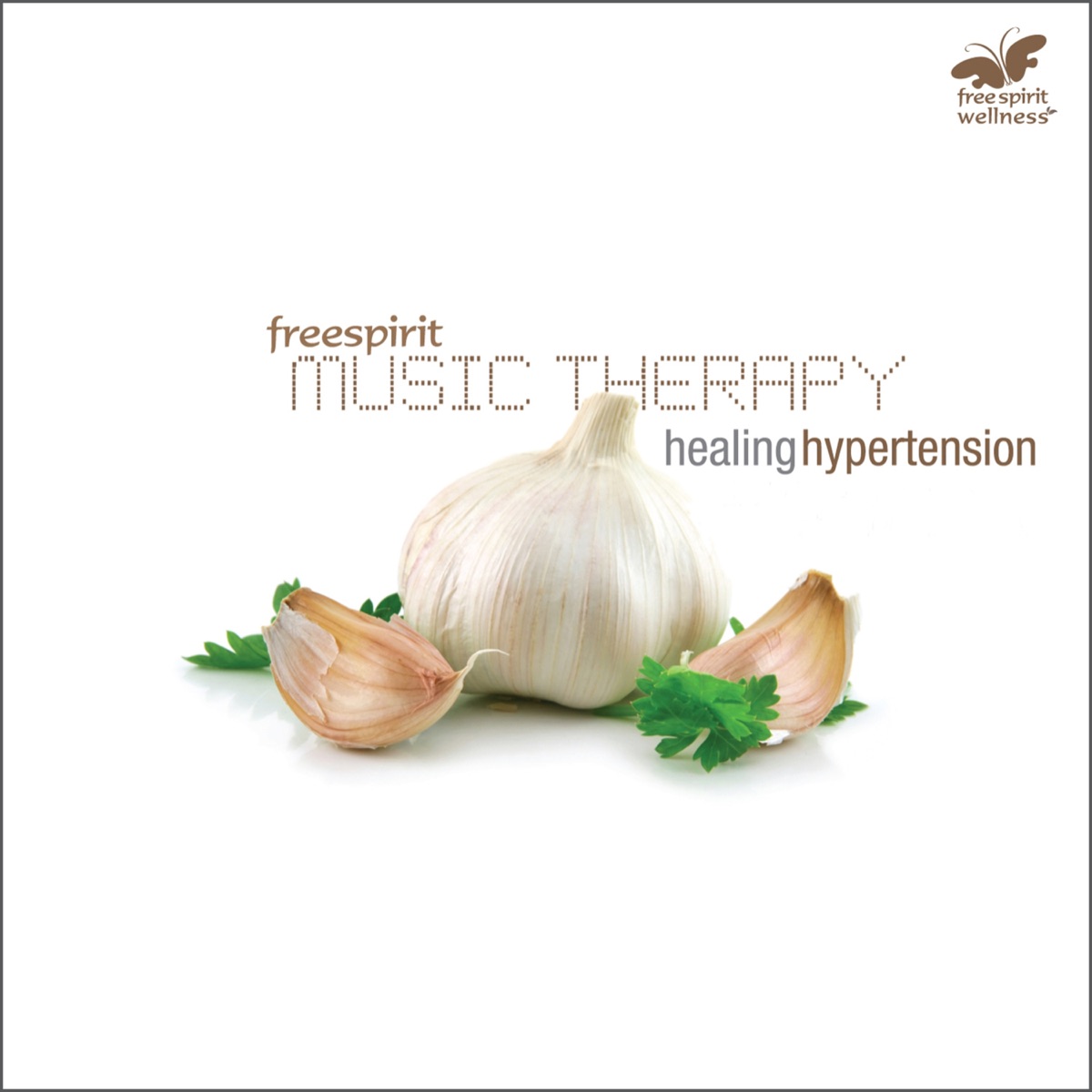Music Therapy - Healing Hypertension by Rakesh Chaurasia, Chirag Katti & Pravin Godkhindi album cover