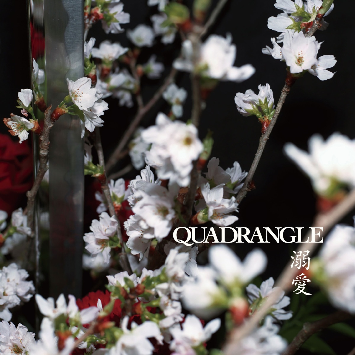 Dekiai - Single by Quadrangle album cover