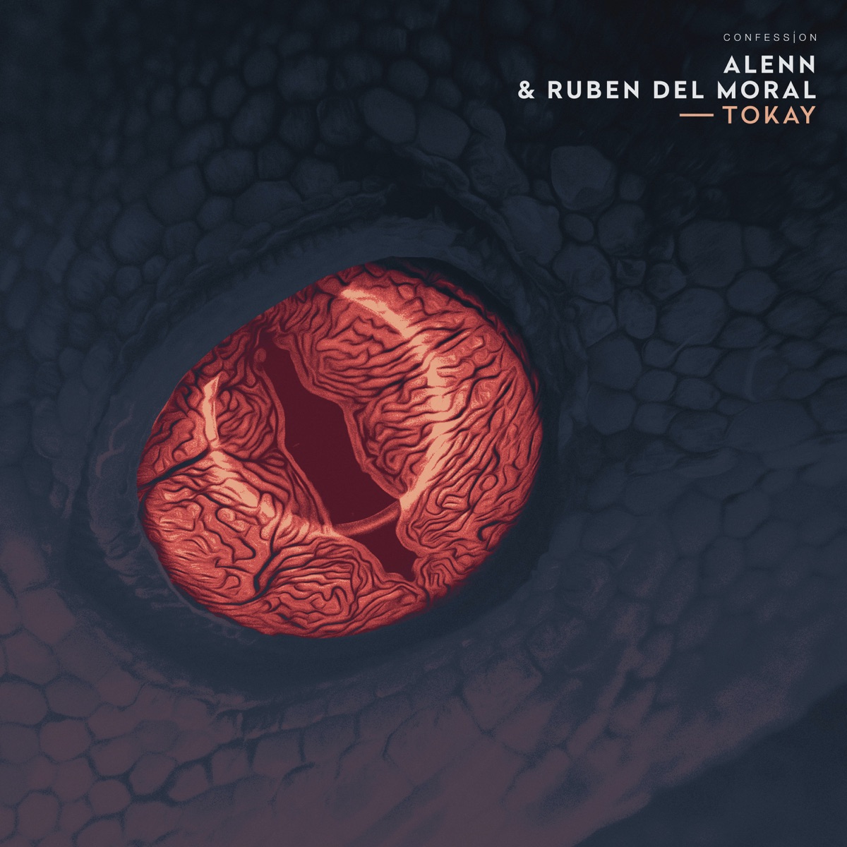 Tokay - Single by Alenn & Ruben Del Moral album cover