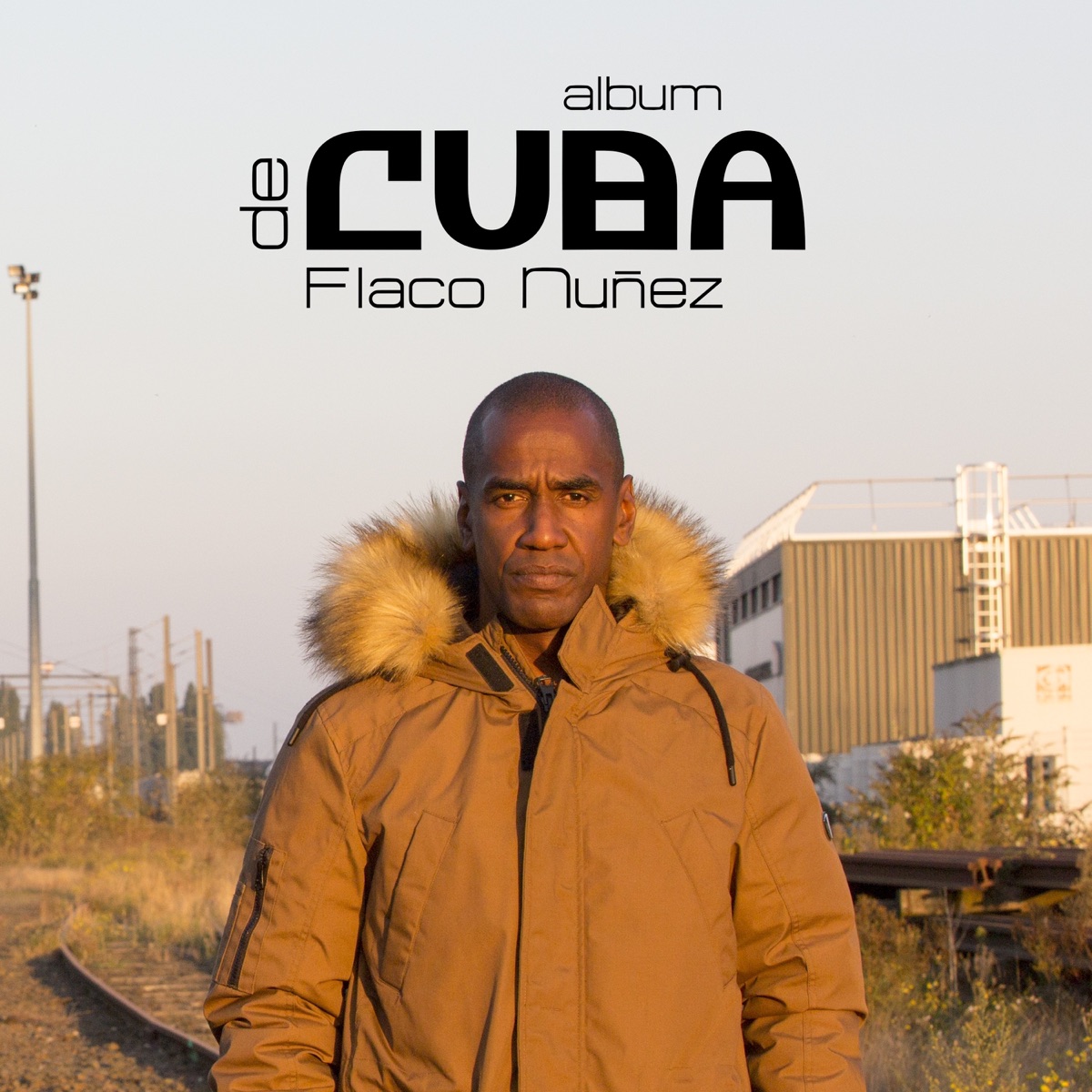 De Cuba (feat. Pablo l'architecte sonore) by Flaco Nuñez album cover