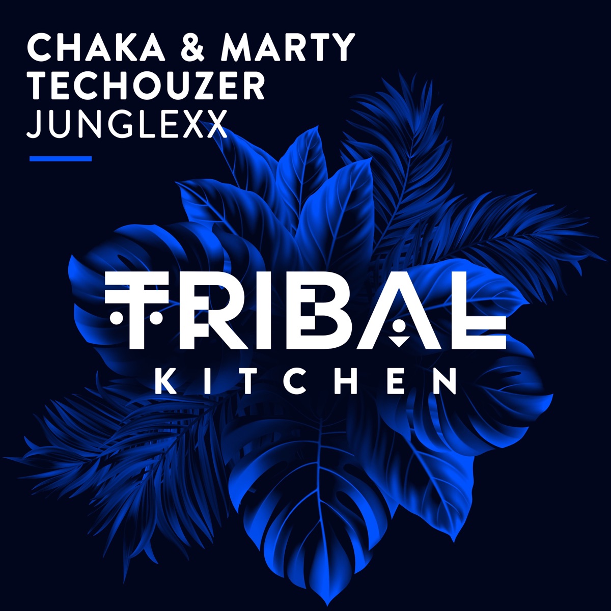 Junglexx (Radio Edit) - Single by Chaka & Marty & TecHouzer album cover