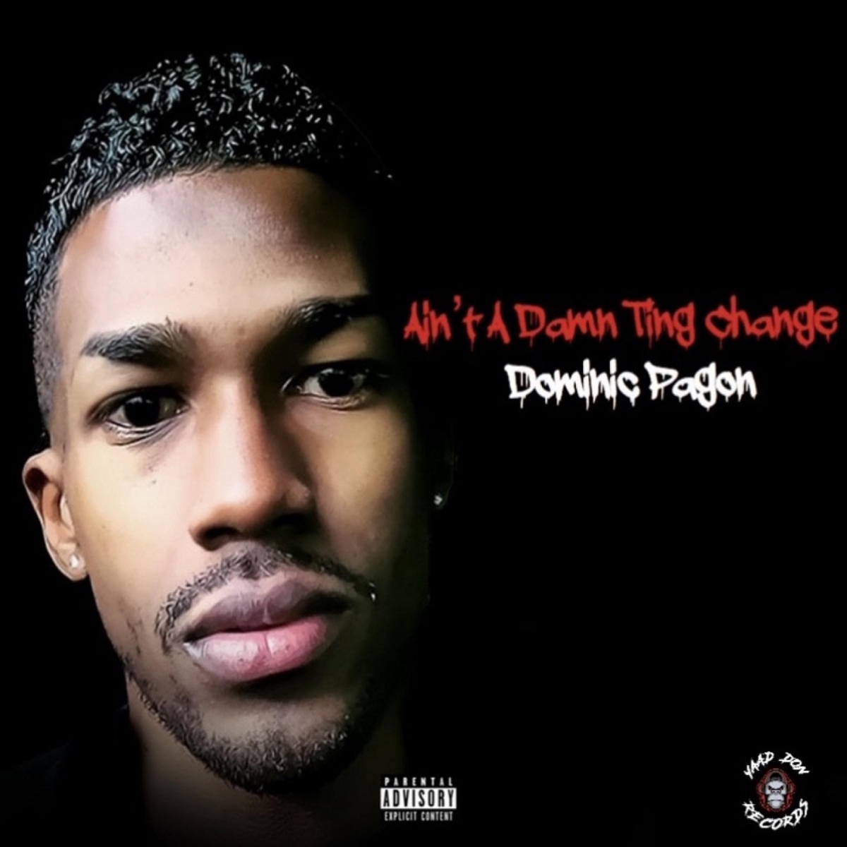 Ain't a Damn Ting Change - Single by Dominic Pagon album cover