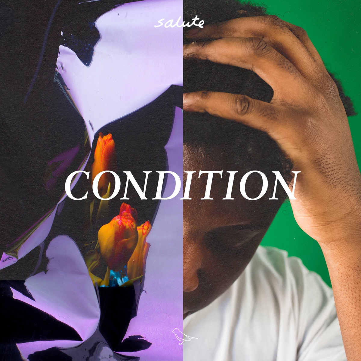 Condition by salute album cover