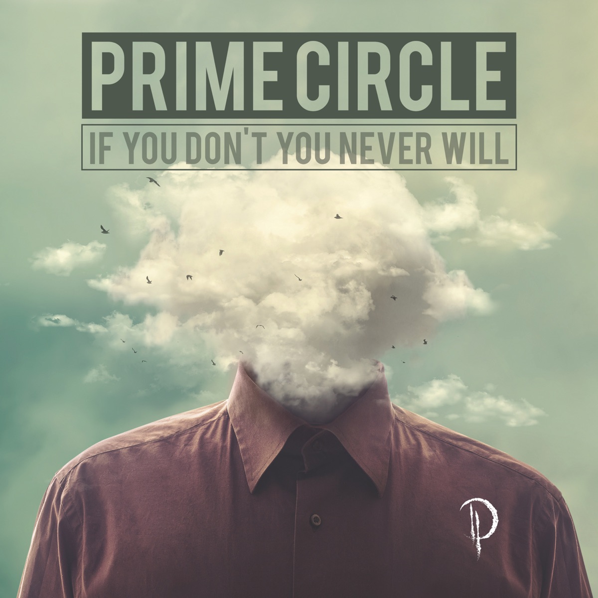 If You Don't You Never Will by Prime Circle album cover