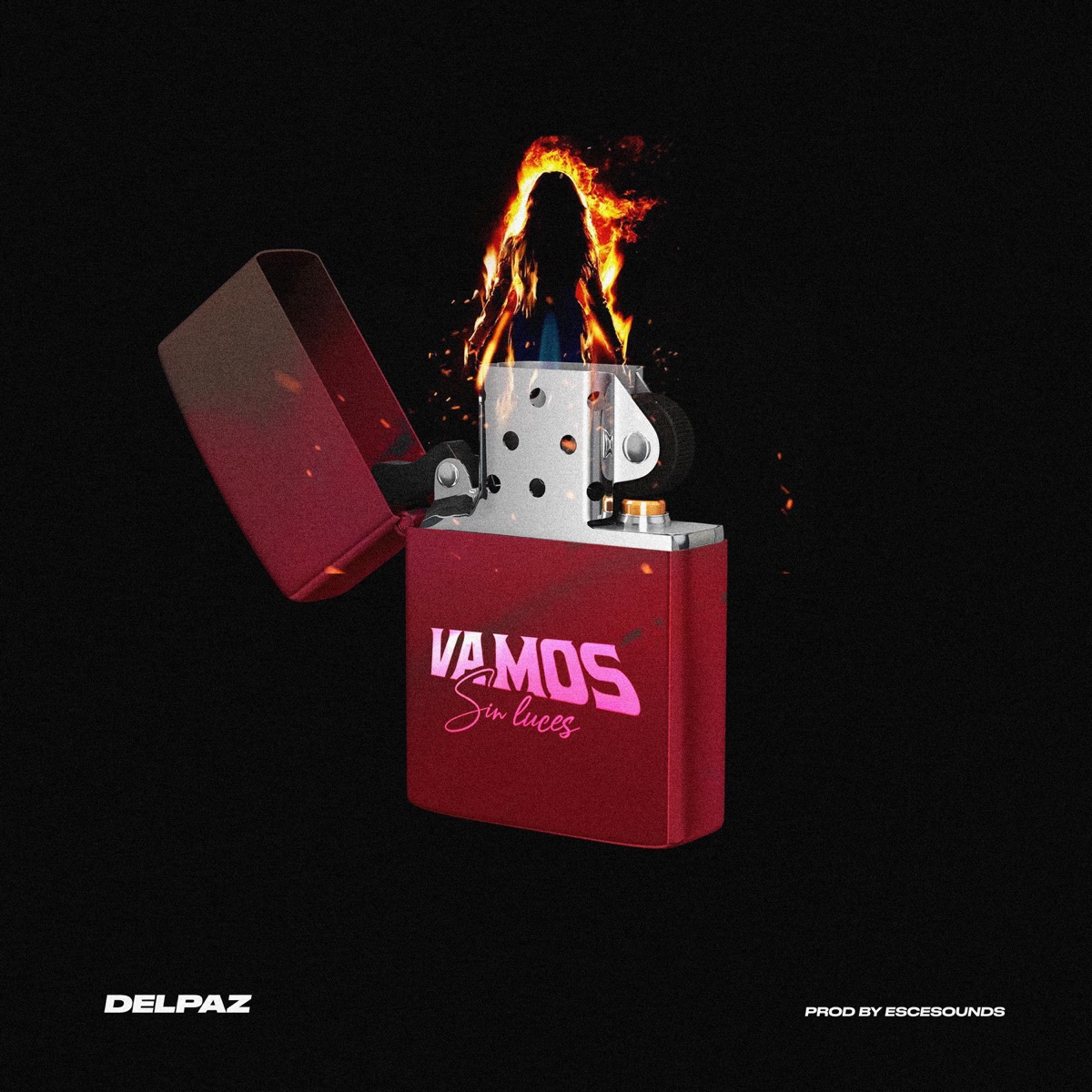 Vamos Sin Luces - Single by Delpaz album cover
