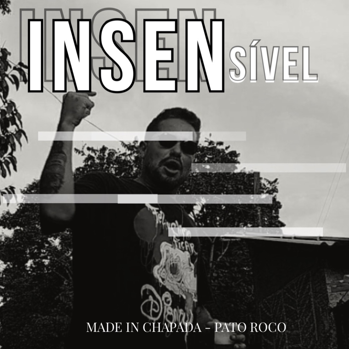 Insensível - Single by Made in Chapada & Pato Roco album cover