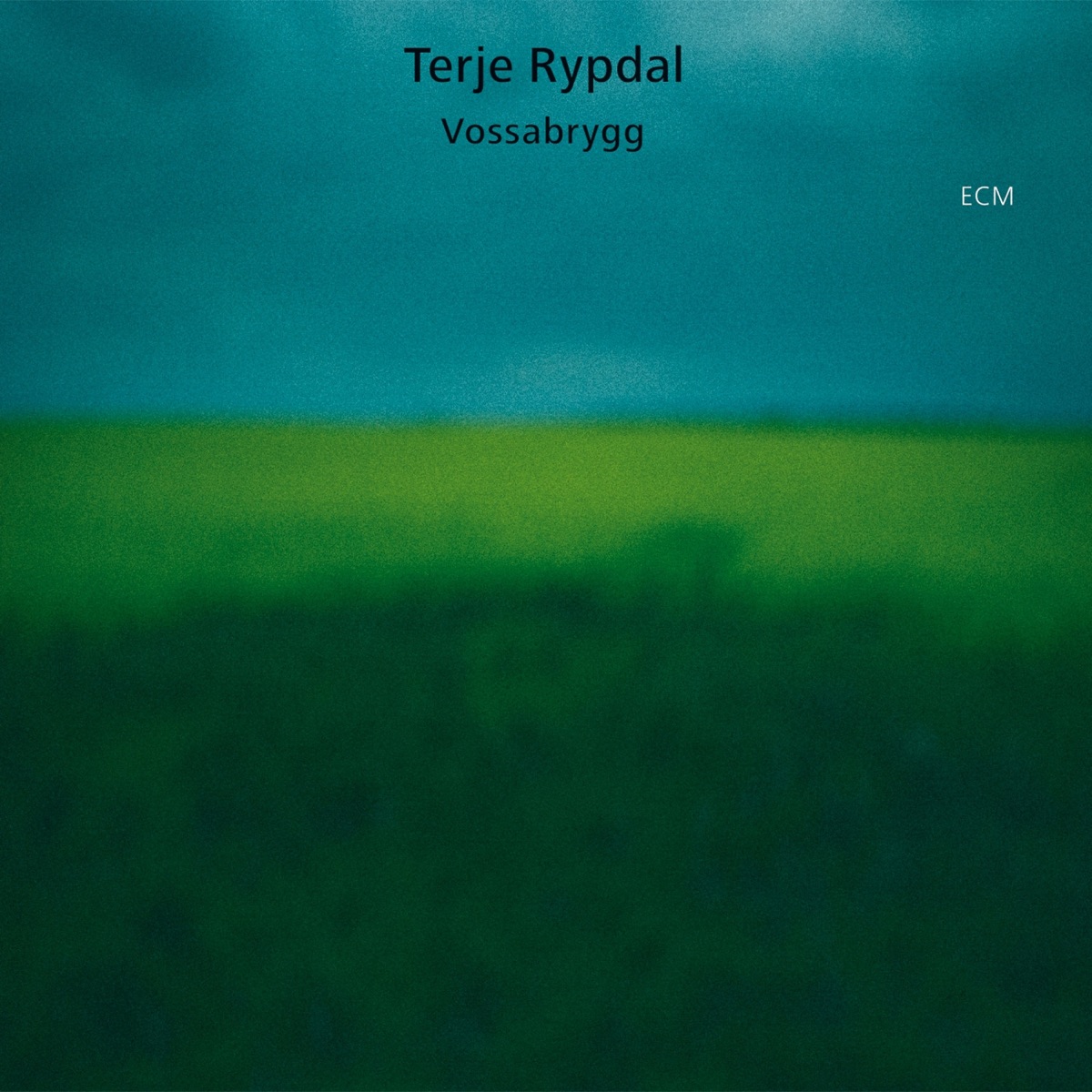 Rypdal: Vossabrygg, Op.84 by Bugge Wesseltoft & Palle Mikkelborg album cover
