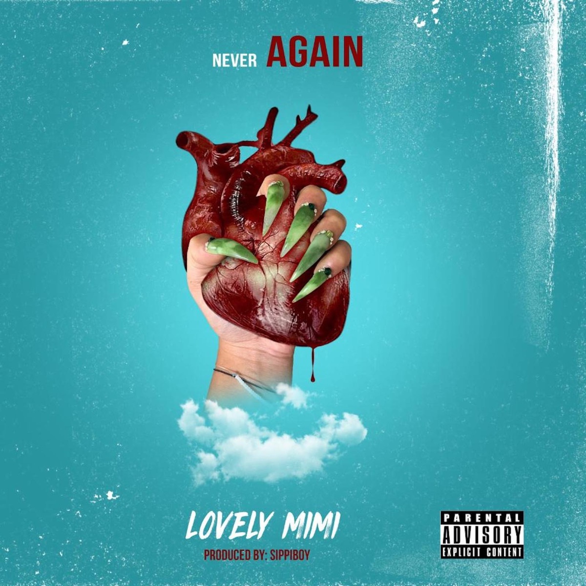 Never Again - Single by Lovely MiMi album cover