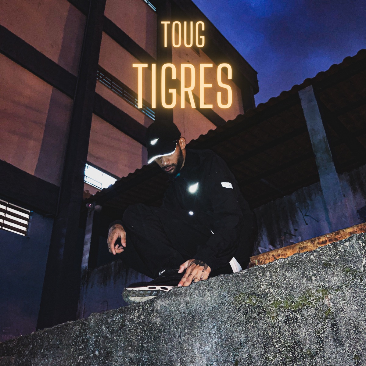 Tigres - Single by Toug Mc album cover