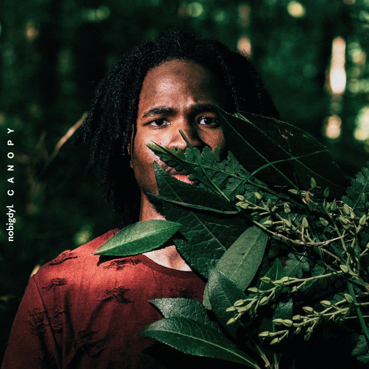 Canopy by nobigdyl. album cover