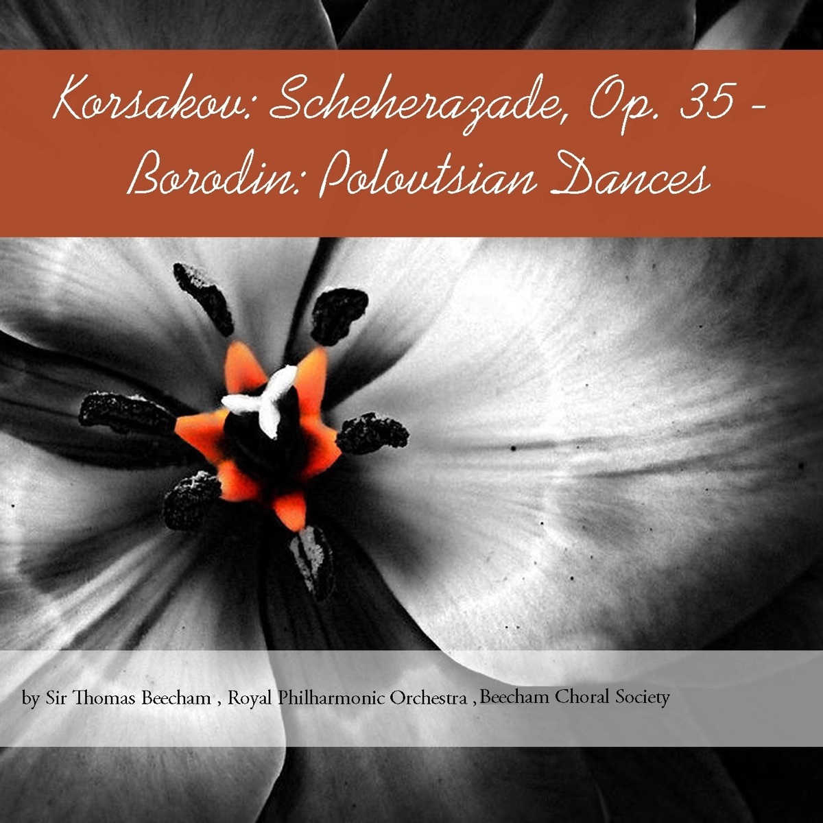 Korsakov: Scheherazade, Op. 35 - Borodin: Polovtsian Dances by Royal Philharmonic Orchestra, Sir Thomas Beecham, Steven Staryk & Beecham Choral Society album cover