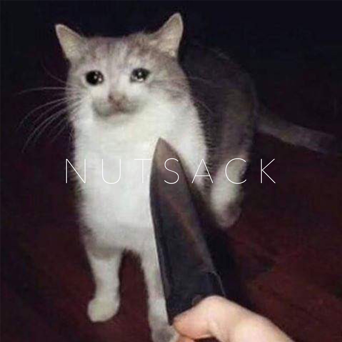 Nutsack - Single by SF album cover
