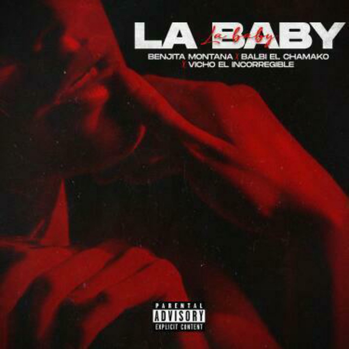 La Baby (feat. Benjita Montaña & Balbi el Chamako) - Single by Vicho El Incorregible album cover