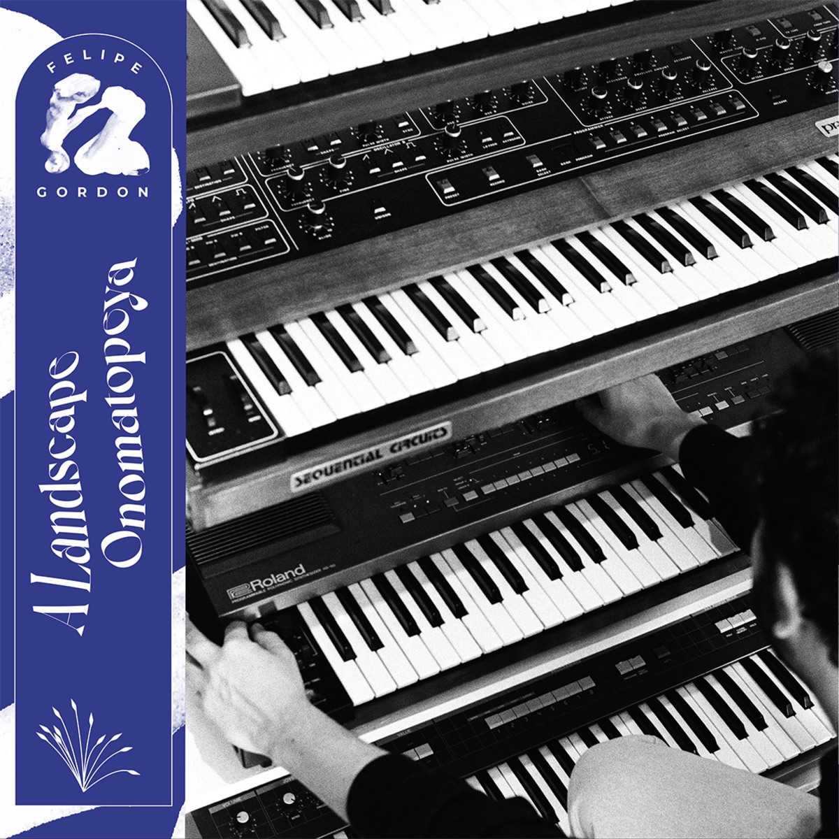 A Landscape Onomatopeya by Felipe Gordon album cover