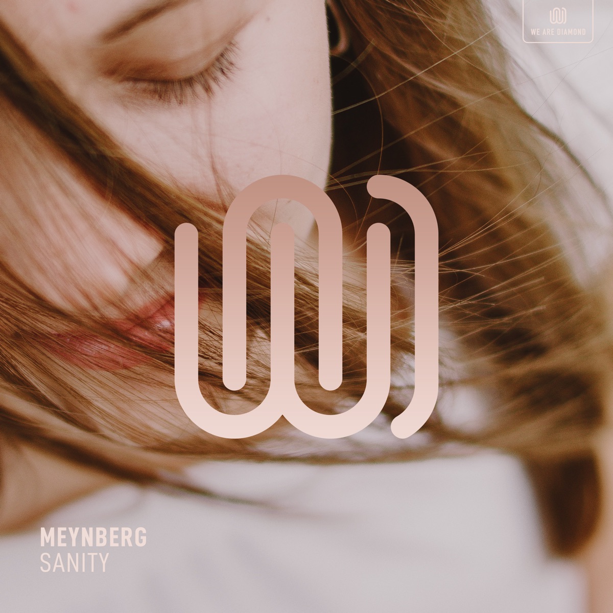 Sanity - Single by Meynberg album cover