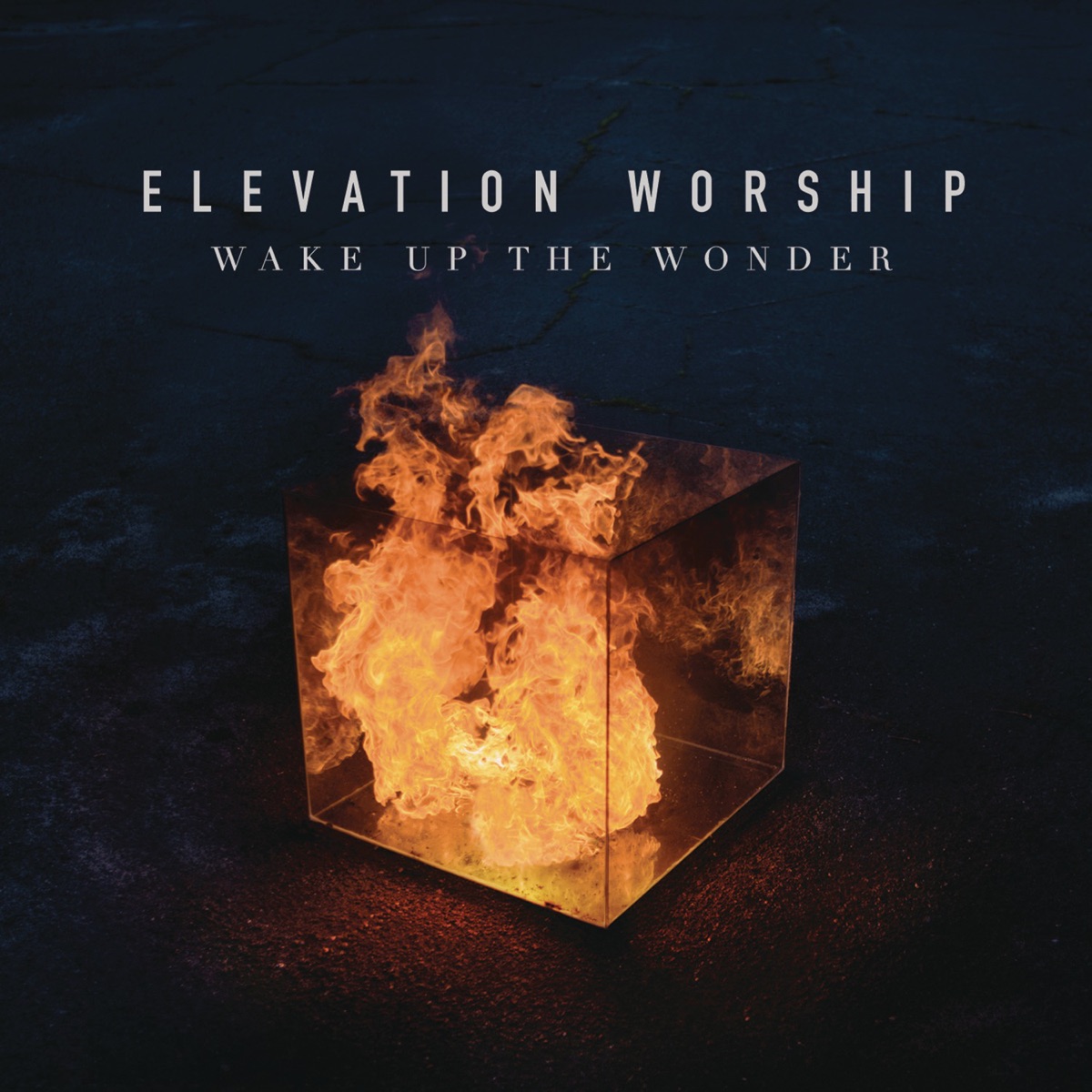 Wake Up the Wonder (Live) by Elevation Worship album cover