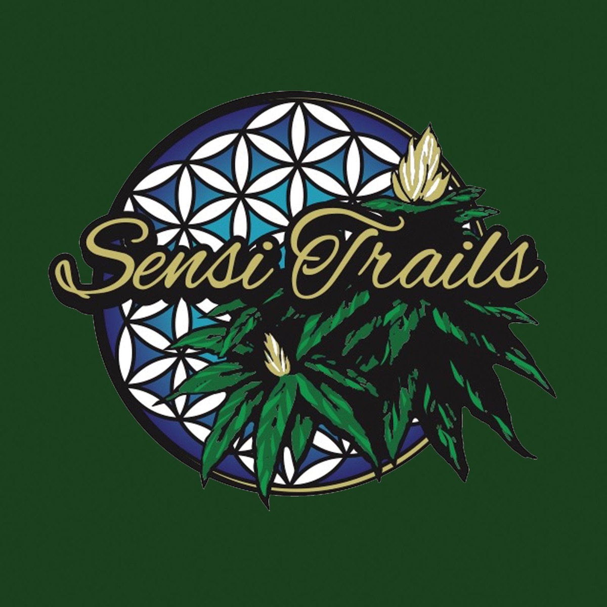Prohibition - EP by Sensi Trails album cover
