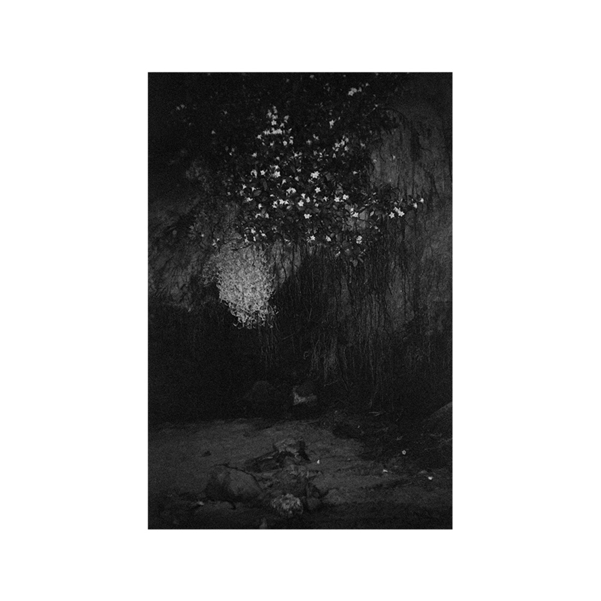 glass - EP by Døves & fish narc album cover