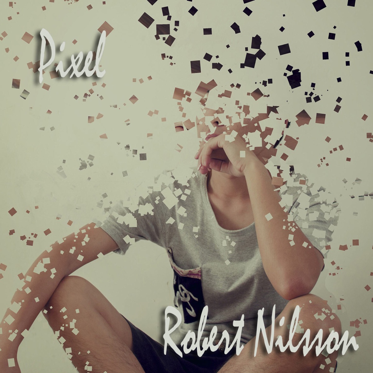 Pixel - Single by Robert Nilsson album cover