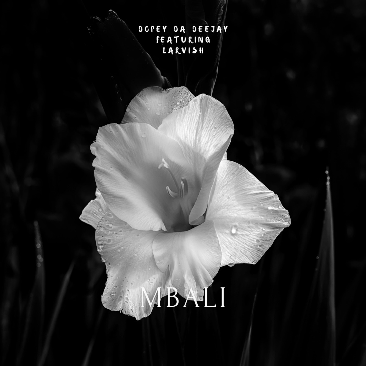 Mbali (feat. Larvish) - Single by Dopey Da Deejay album cover